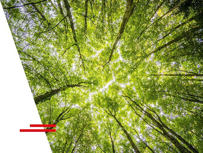 bilan carbone caisse epargne ile de france